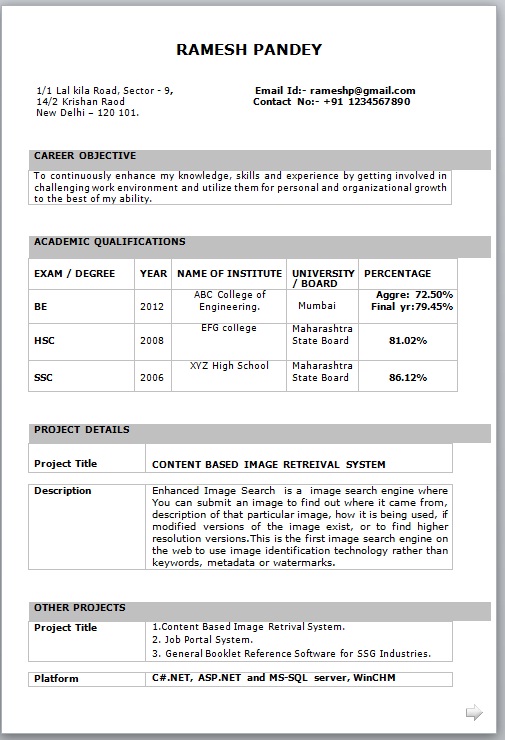 Download a professional resume format